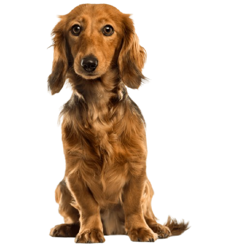 Feature product image